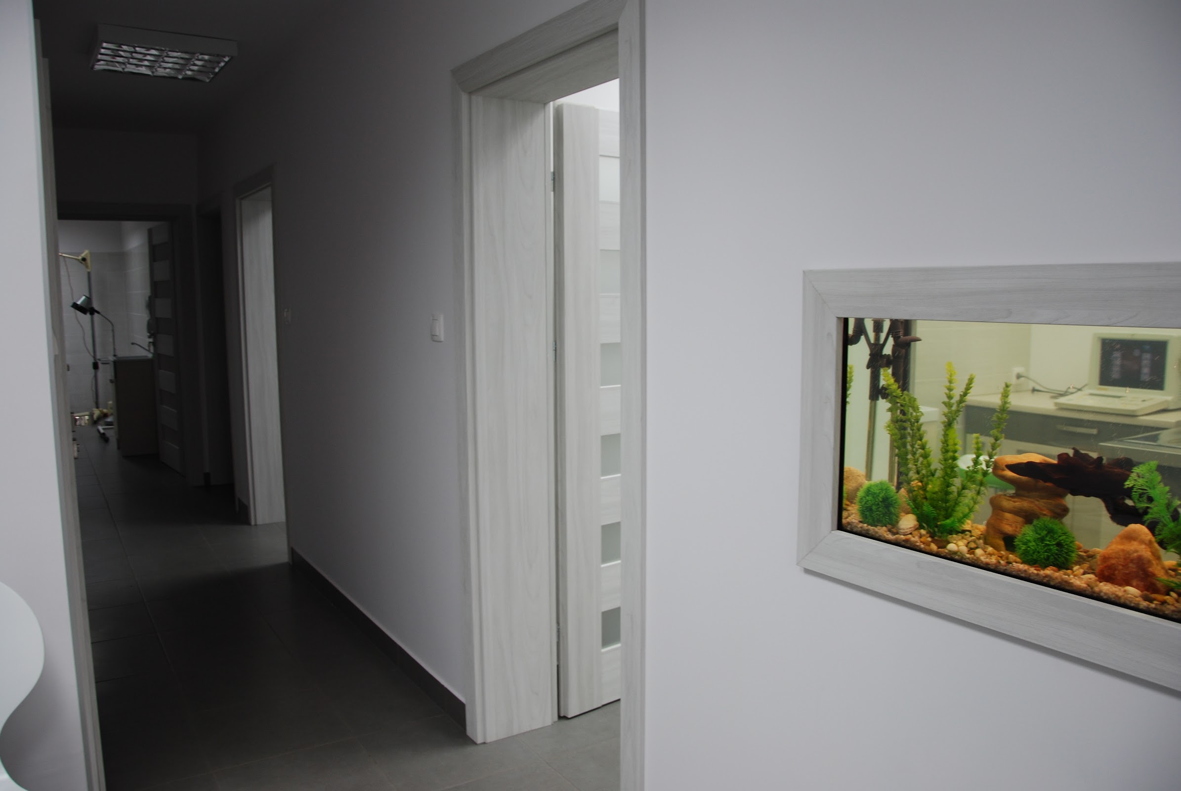 Korytarz z akwarium w przychodni Barry